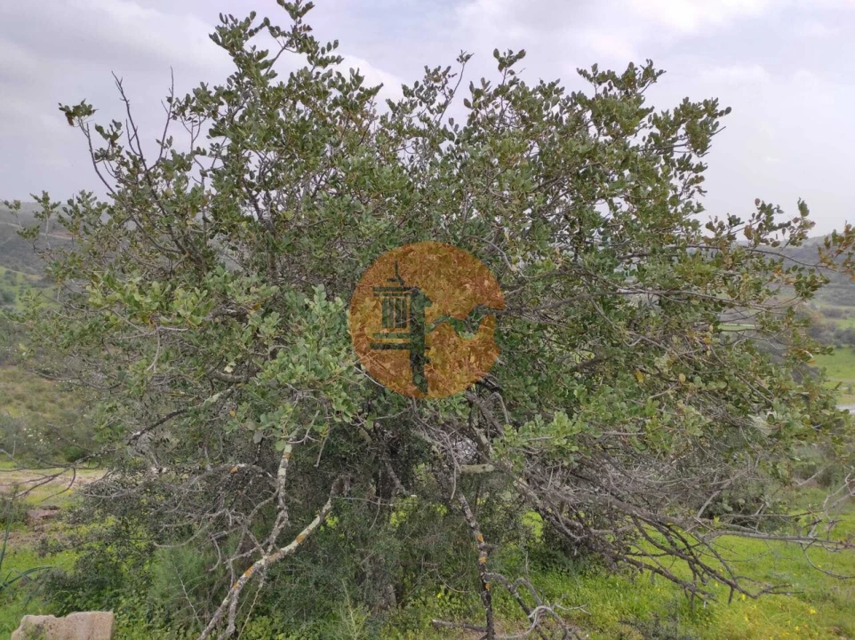 Terreno para Venda em Castro Marim Foto 23