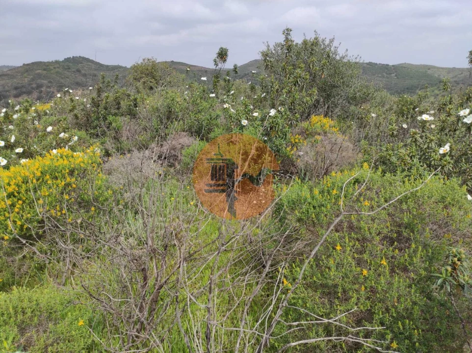 Terreno para Venda em Castro Marim Foto 28