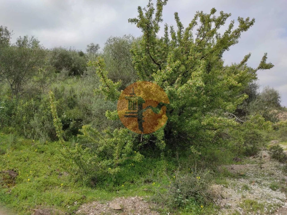 Terreno para Venda em Castro Marim Foto 32