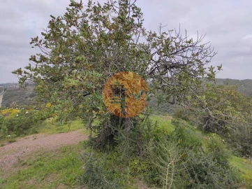 Terreno para Venda em Castro Marim