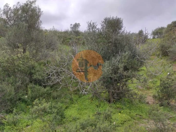Terreno para Venda em Castro Marim