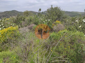 Terreno para Venda em Castro Marim