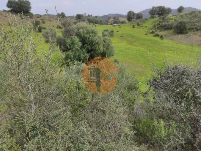 Terreno para Venda em Castro Marim Foto 9