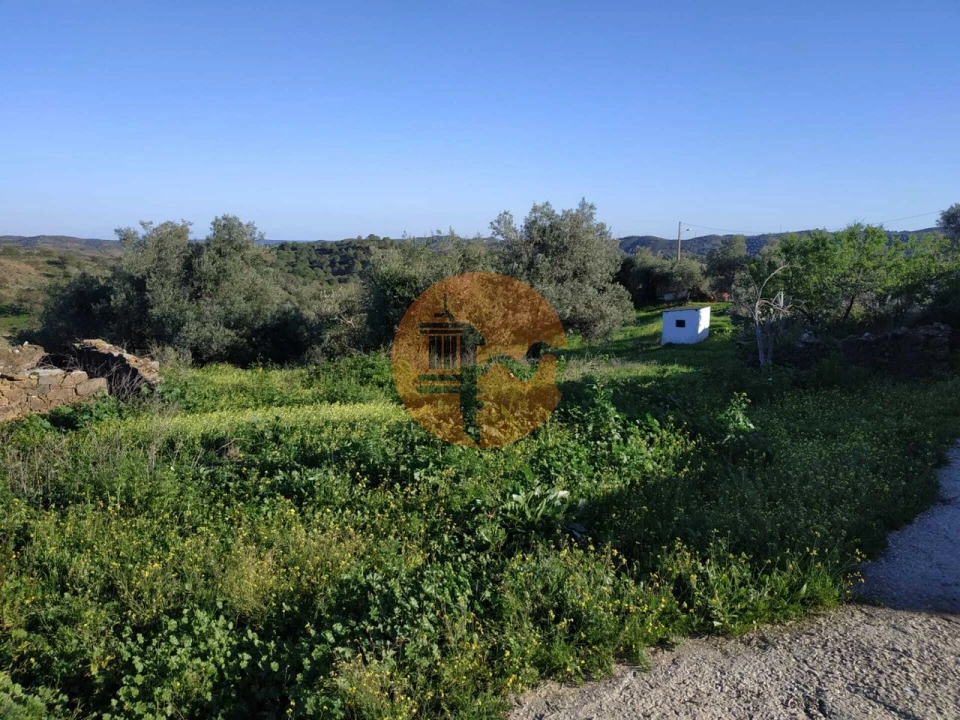 Terreno para Venda em Azinhal Foto 28