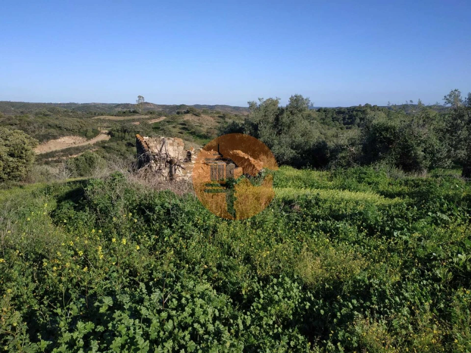 Terreno para Venda em Azinhal Foto 60