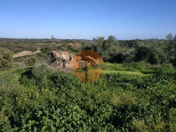 Terreno para Venda em Azinhal