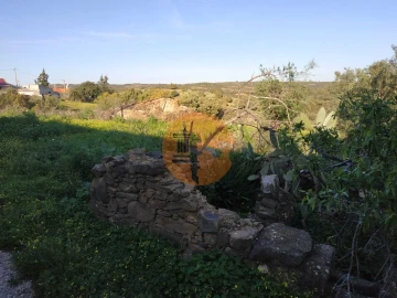 Terreno para Venda em Azinhal