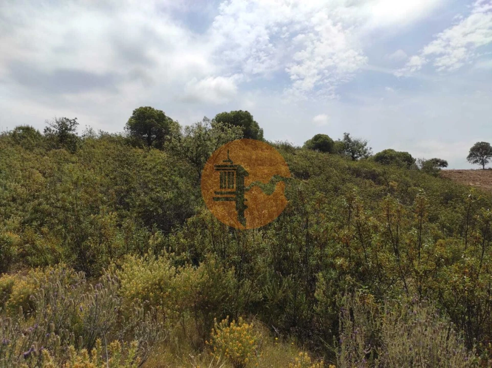 Terreno para Venda em Castro Marim Foto 21