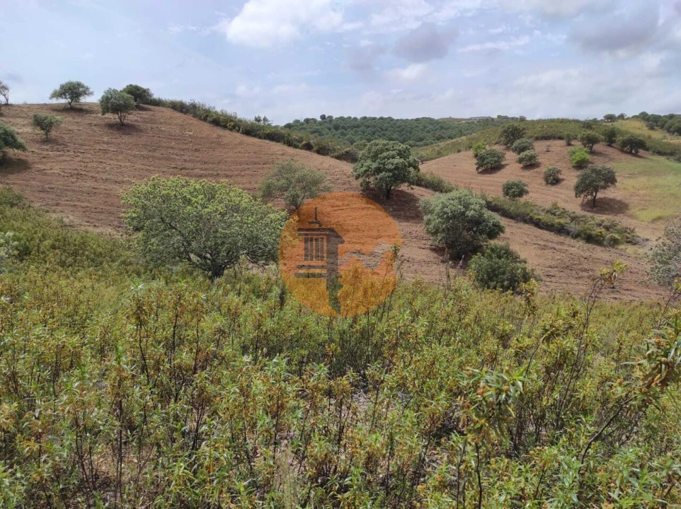 Terreno para Venda em Castro Marim Foto 23