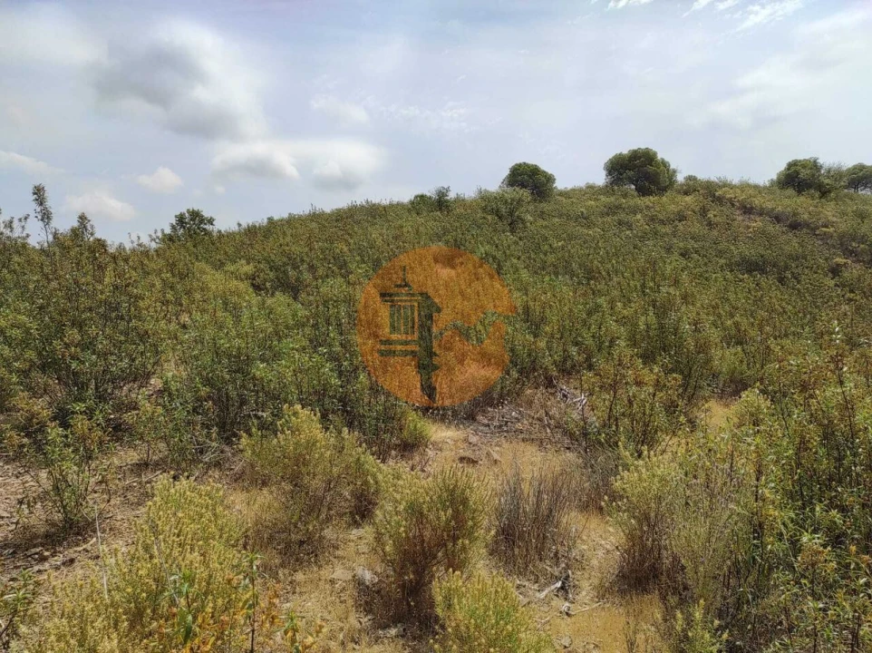 Terreno para Venda em Castro Marim Foto 30