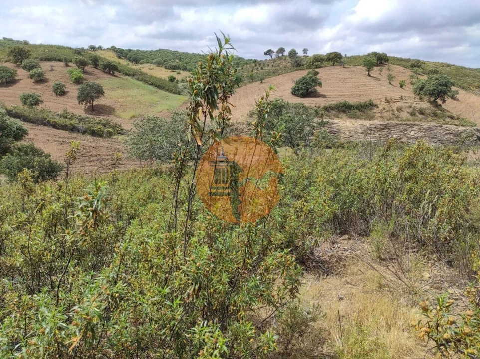 Terreno para Venda em Castro Marim Foto 32