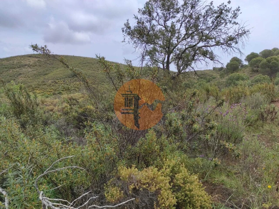 Terreno para Venda em Castro Marim Foto 36