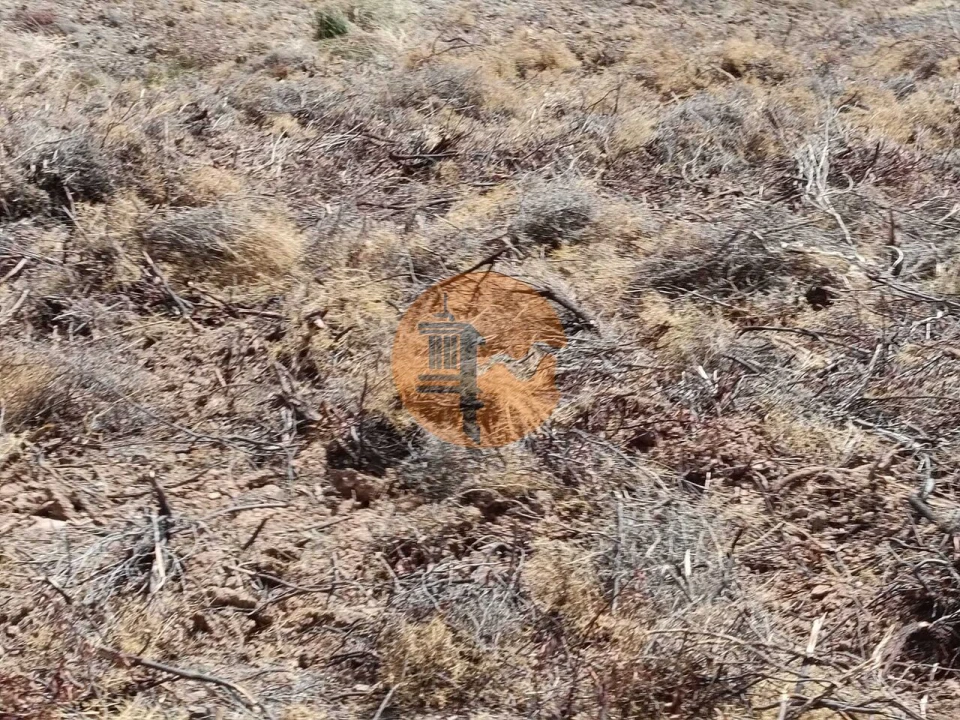 Terreno para Venda em Castro Marim Foto 41