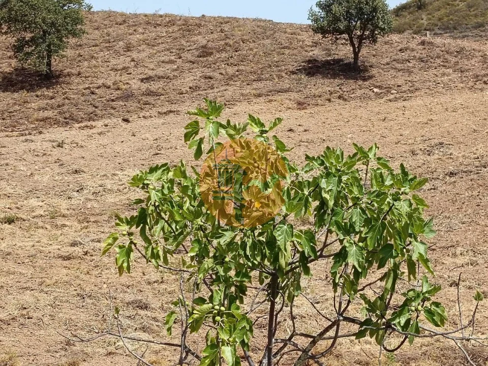Terreno para Venda em Castro Marim Foto 44