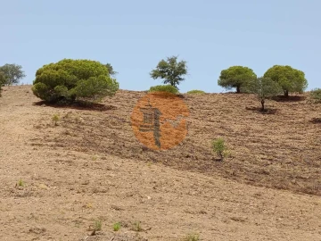 Terreno para Venda em Castro Marim