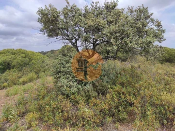Terreno para Venda em Castro Marim