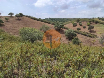 Terreno para Venda em Castro Marim