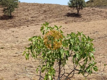 Terreno para Venda em Castro Marim