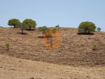 Terreno para Venda em Castro Marim