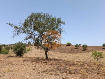 Terreno para Venda em Castro Marim