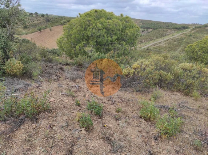 Terreno para Venda em Castro Marim Foto 7