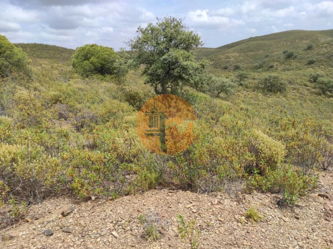 Terreno para Venda em Castro Marim Foto 8