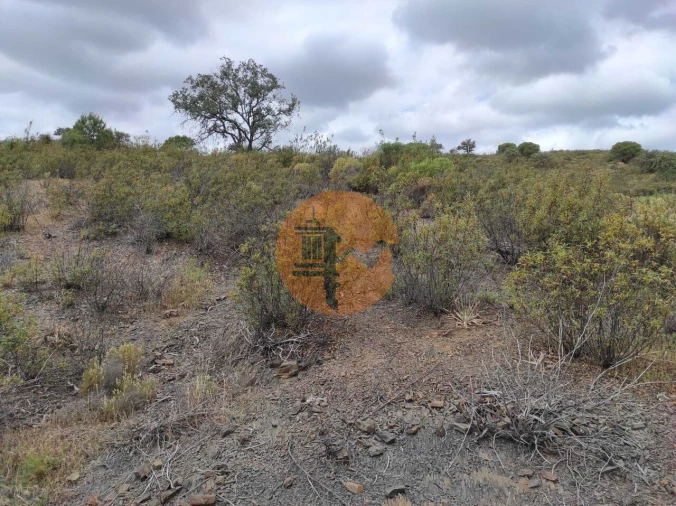 Terreno para Venda em Castro Marim Foto 12
