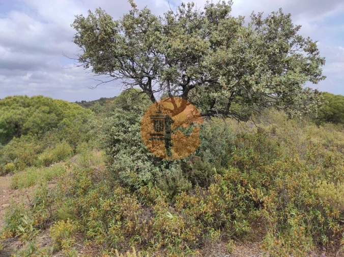 Terreno para Venda em Castro Marim Foto 20