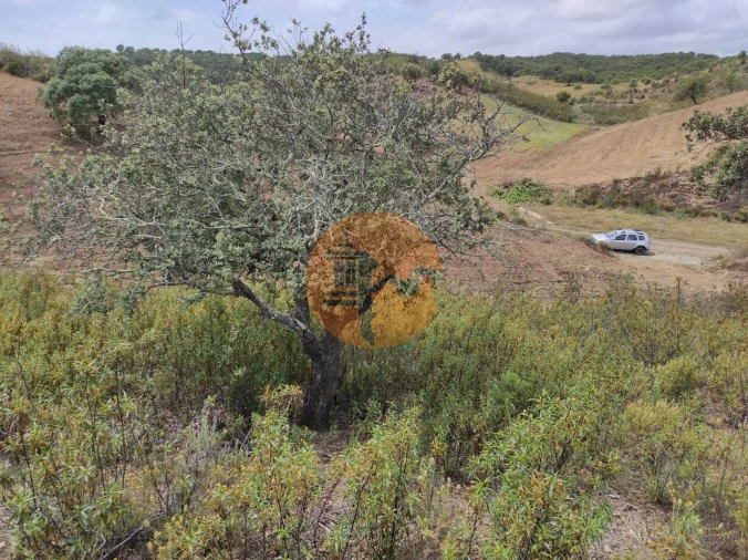 Terreno para Venda em Castro Marim Foto 22