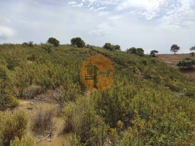 Terreno para Venda em Castro Marim Foto 28