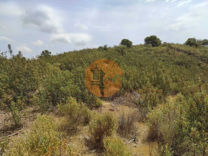 Terreno para Venda em Castro Marim Foto 30