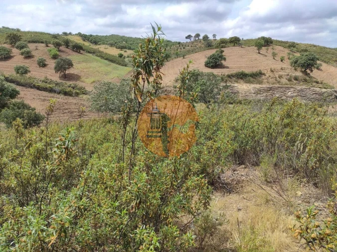 Terreno para Venda em Castro Marim Foto 32