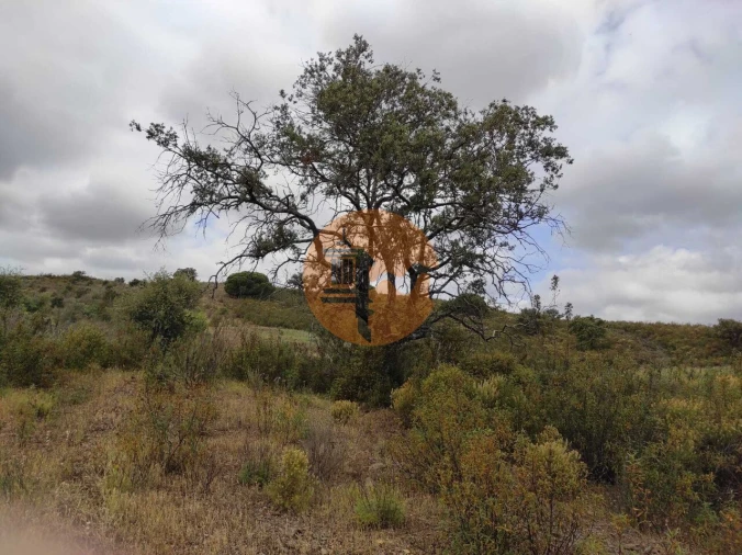 Terreno para Venda em Castro Marim Foto 34