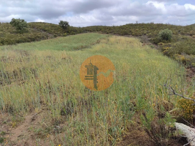 Terreno para Venda em Castro Marim Foto 35