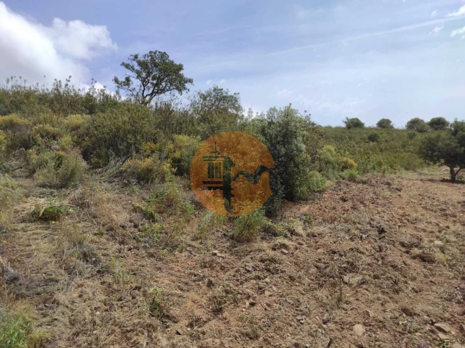 Terreno para Venda em Castro Marim Foto 40