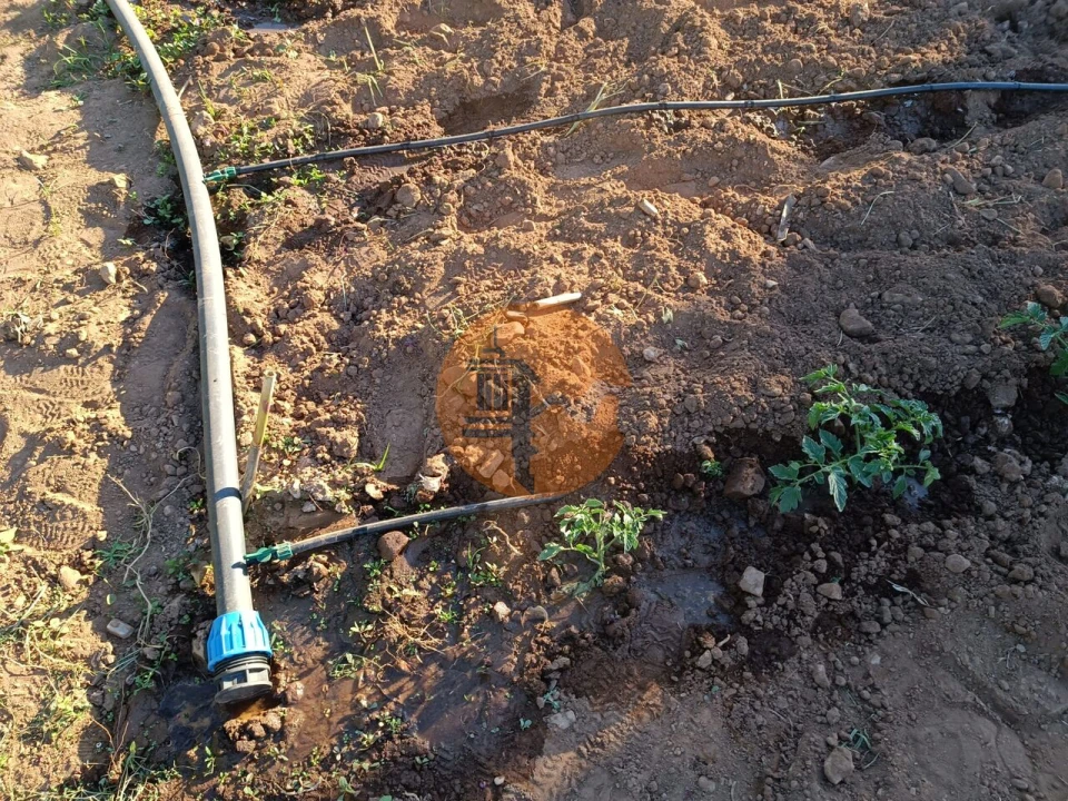 Terreno para Venda em Castro Marim Foto 10