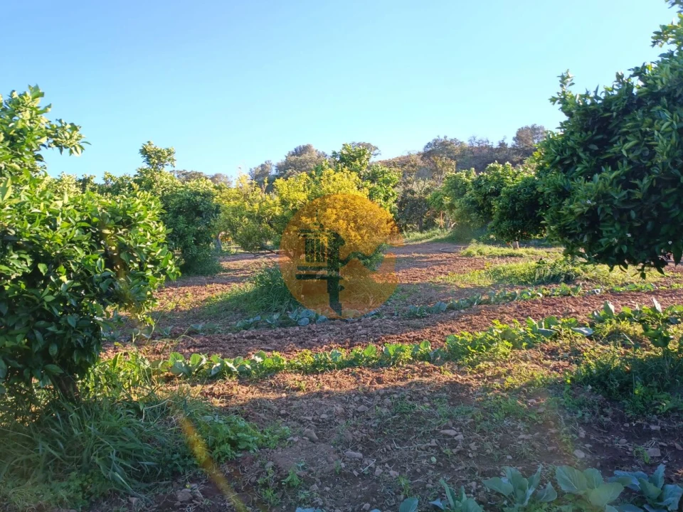 Terreno para Venda em Castro Marim Foto 15