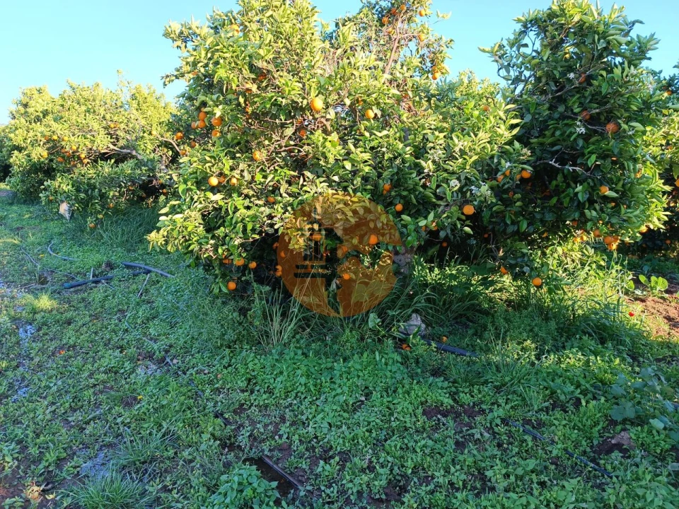 Terreno para Venda em Castro Marim Foto 6