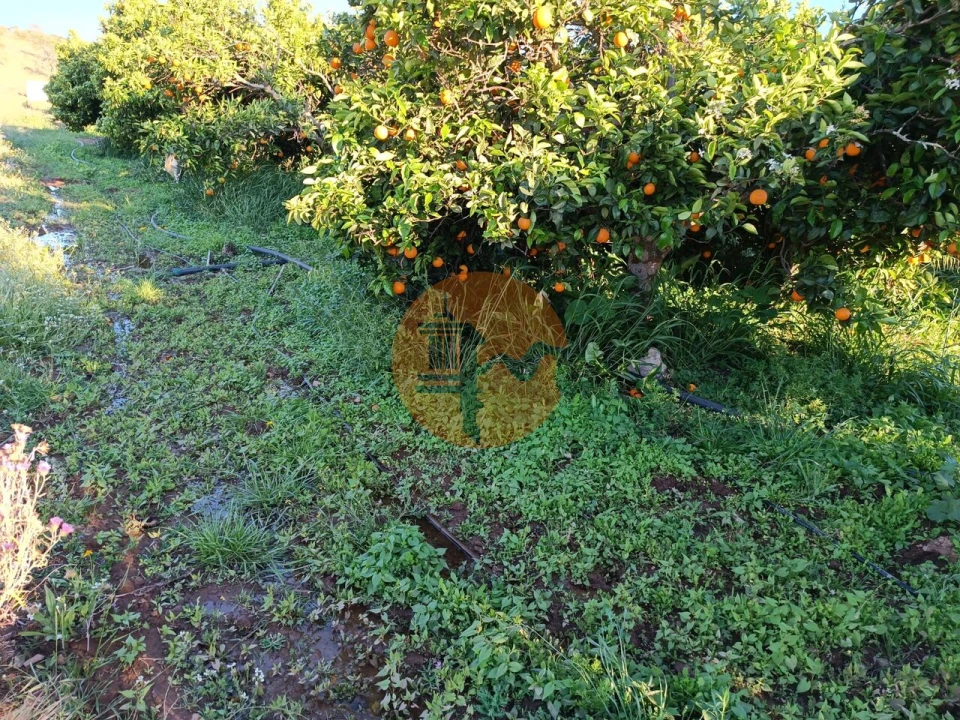 Terreno para Venda em Castro Marim Foto 21
