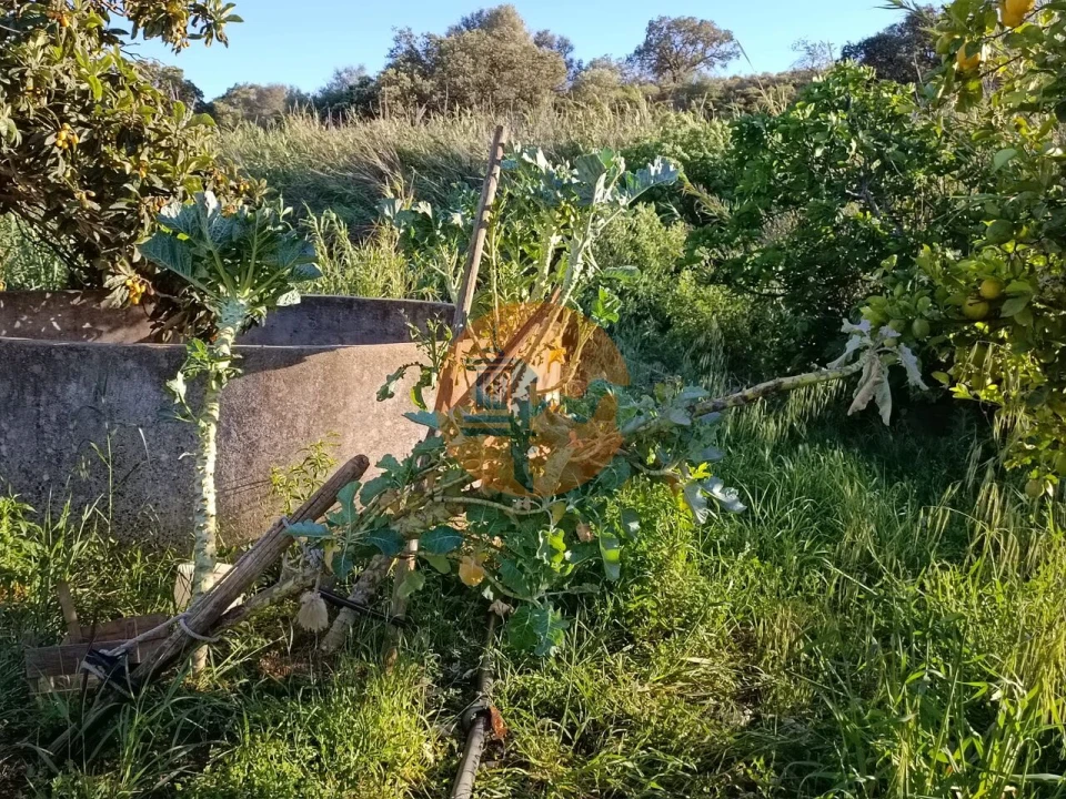 Terreno para Venda em Castro Marim Foto 30