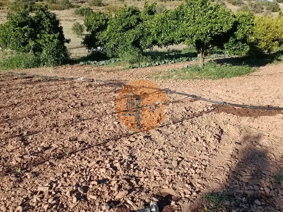 Terreno para Venda em Castro Marim Foto 33