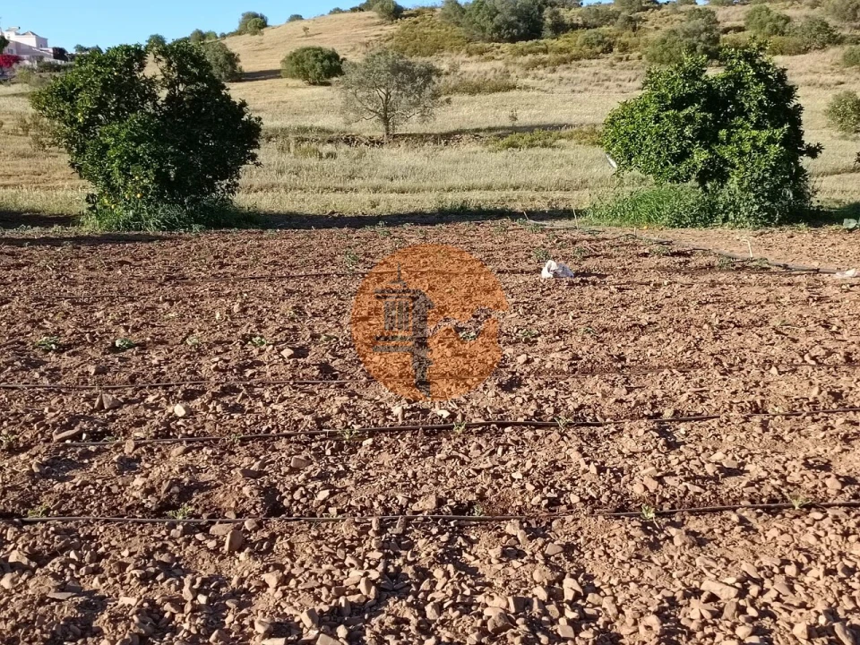 Terreno para Venda em Castro Marim Foto 35