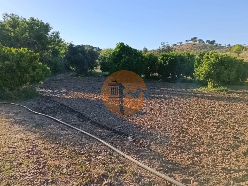 Terreno para Venda em Castro Marim Foto 36