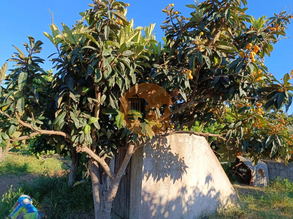 Terreno para Venda em Castro Marim Foto 39