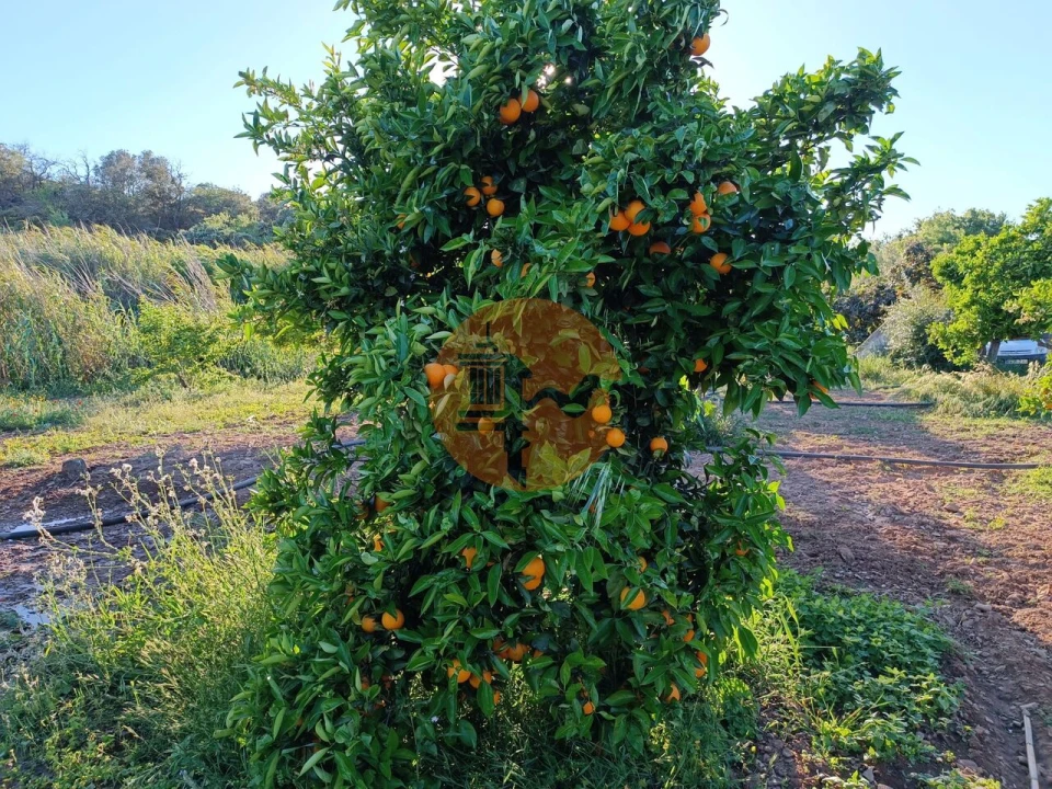 Terreno para Venda em Castro Marim Foto 41