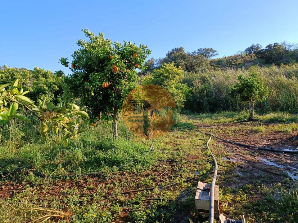 Terreno para Venda em Castro Marim Foto 1