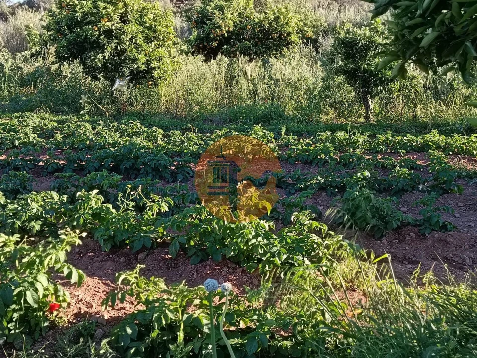 Terreno para Venda em Castro Marim Foto 48