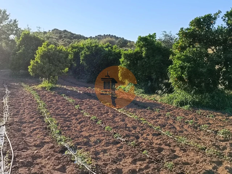 Terreno para Venda em Castro Marim Foto 51