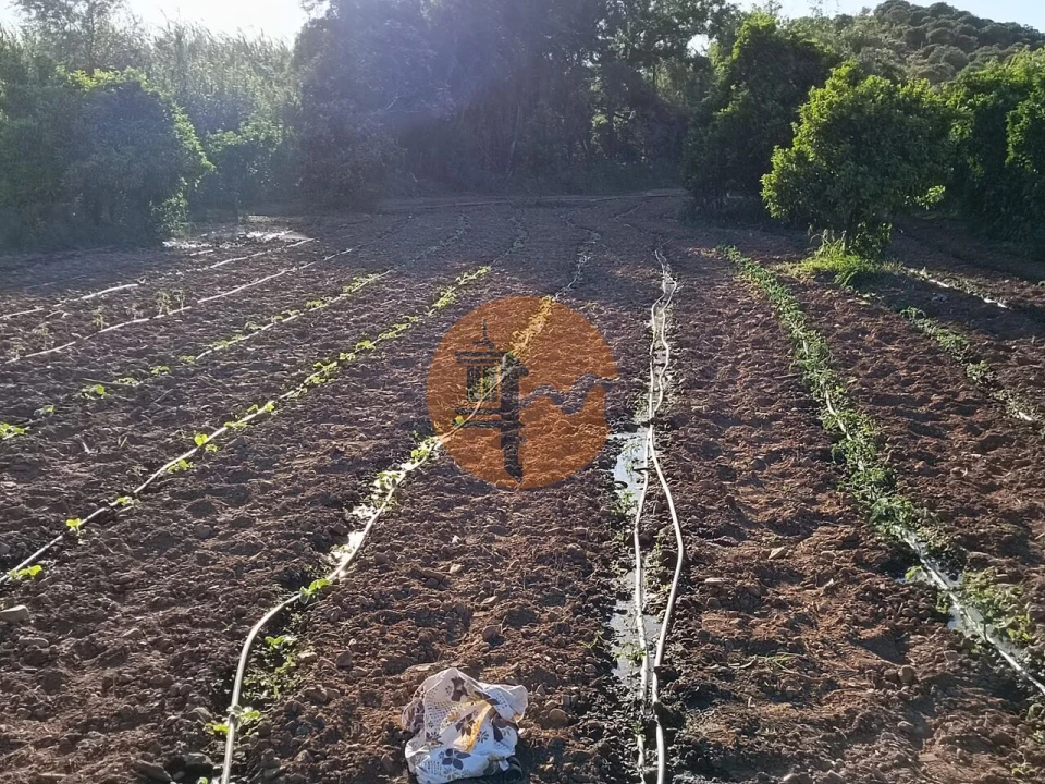 Terreno para Venda em Castro Marim Foto 5