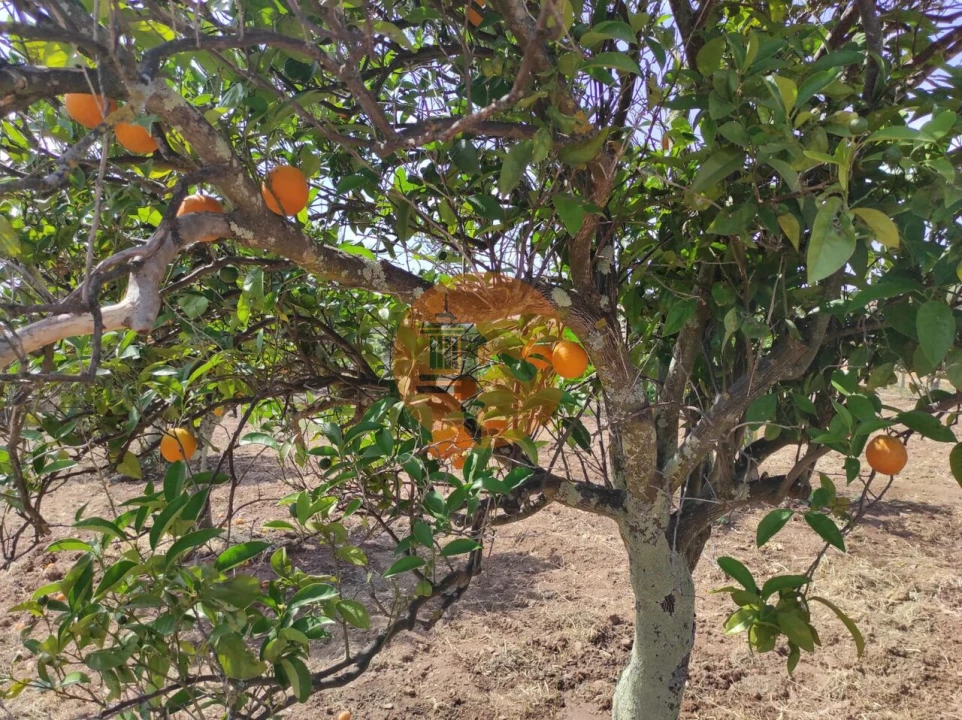 Terreno para Venda em Castro Marim Foto 46
